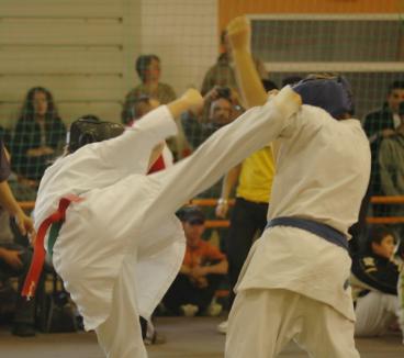 Cupa de Vară "Fidelitas" la karate tradiţional 
